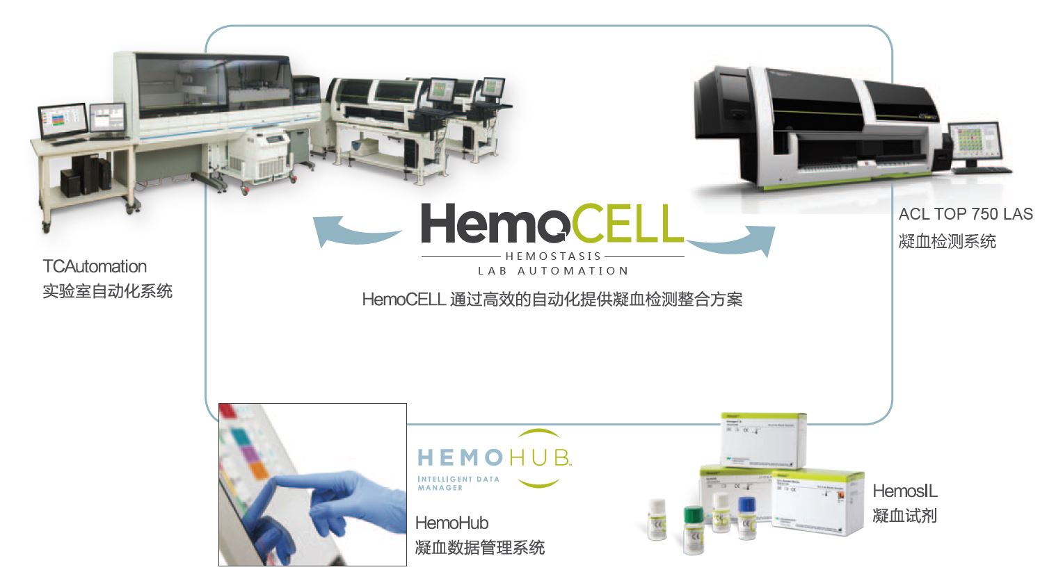 HemoCELL